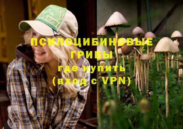 2c-b Ладушкин